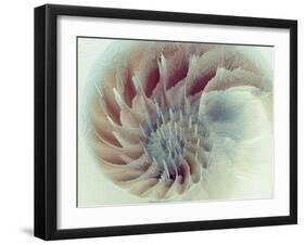 Digital Nautilus-null-Framed Art Print