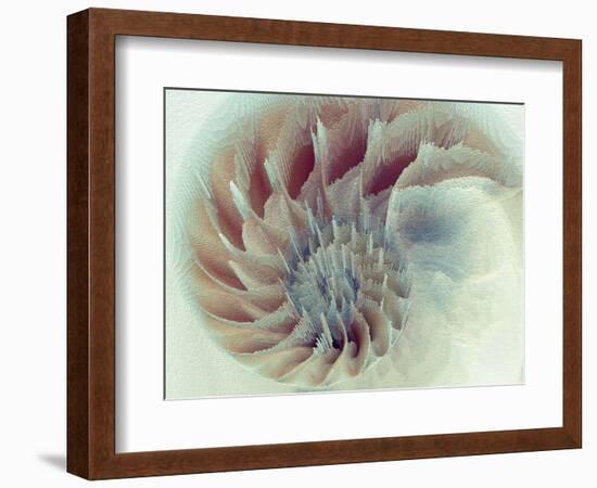 Digital Nautilus-null-Framed Art Print