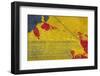 Digital Painting, Abstract Background-Andriy Zholudyev-Framed Premium Photographic Print