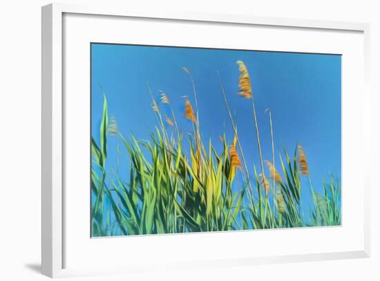 Digital Painting Phragmites Against Blue Sky-Anthony Paladino-Framed Giclee Print