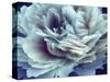 Digital Peony-null-Stretched Canvas