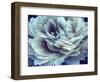 Digital Peony-null-Framed Art Print