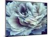 Digital Peony-null-Mounted Art Print