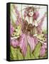 Digitalis Fae-Linda Ravenscroft-Framed Stretched Canvas