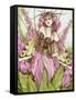 Digitalis Fae-Linda Ravenscroft-Framed Stretched Canvas