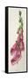 Digitalis Purpurea-F Edward Hulme-Framed Stretched Canvas