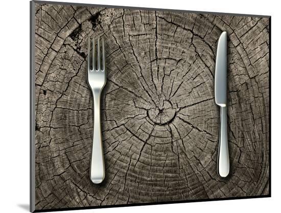 Photographic Print, , large