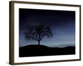 Digitally Generated Image of a Tree And the Moon-Stocktrek Images-Framed Photographic Print