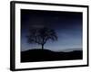 Digitally Generated Image of a Tree And the Moon-Stocktrek Images-Framed Photographic Print