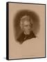 Digitally Restored American History Portrait of President Andrew Jackson-null-Framed Stretched Canvas