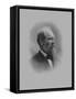 Digitally Restored American History Print of President James Garfield-null-Framed Stretched Canvas