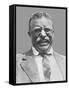 Digitally Restored Vector Portrait of Theodore Roosevelt Smiling-Stocktrek Images-Framed Stretched Canvas