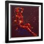 Dignity, 2011,-Penny Warden-Framed Giclee Print