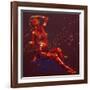 Dignity, 2011,-Penny Warden-Framed Giclee Print