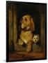 Dignity and Impudence-Edwin Henry Landseer-Framed Giclee Print