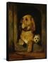 Dignity and Impudence-Edwin Henry Landseer-Framed Stretched Canvas