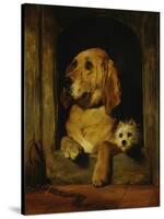 Dignity and Impudence-Edwin Henry Landseer-Stretched Canvas