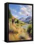 Framed Canvas