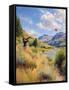 Canvas Black