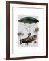 Diligenza and Flying Creatures-Fab Funky-Framed Art Print