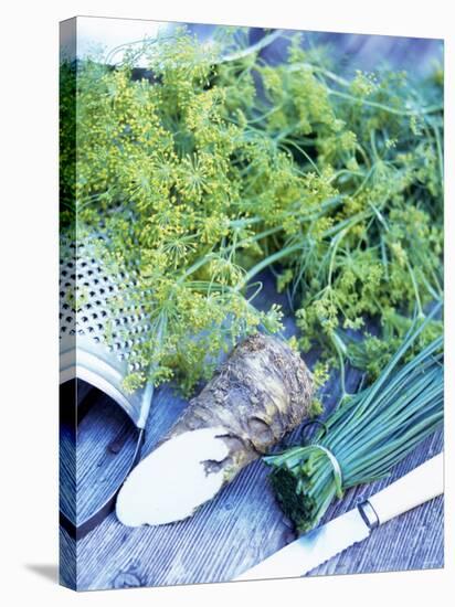 Dill, Horseradish and Chives-Stefan Braun-Stretched Canvas