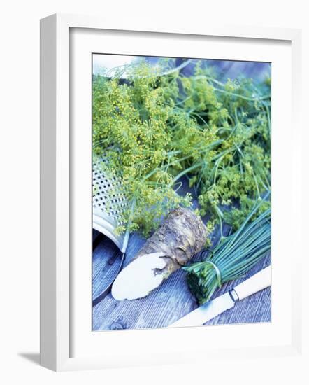 Dill, Horseradish and Chives-Stefan Braun-Framed Photographic Print