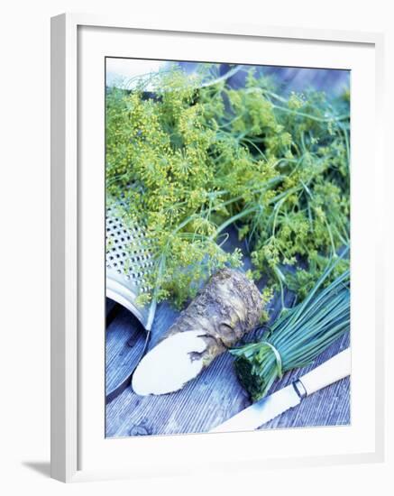 Dill, Horseradish and Chives-Stefan Braun-Framed Photographic Print