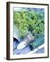 Dill, Horseradish and Chives-Stefan Braun-Framed Photographic Print