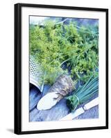 Dill, Horseradish and Chives-Stefan Braun-Framed Photographic Print