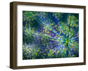 Dill-Ursula Abresch-Framed Photographic Print