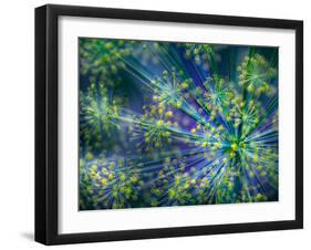 Dill-Ursula Abresch-Framed Photographic Print