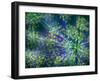 Dill-Ursula Abresch-Framed Photographic Print