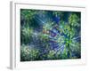 Dill-Ursula Abresch-Framed Photographic Print