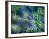 Dill-Ursula Abresch-Framed Photographic Print