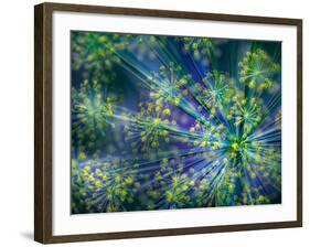 Dill-Ursula Abresch-Framed Photographic Print