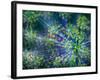 Dill-Ursula Abresch-Framed Photographic Print