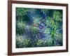 Dill-Ursula Abresch-Framed Photographic Print