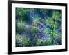 Dill-Ursula Abresch-Framed Photographic Print