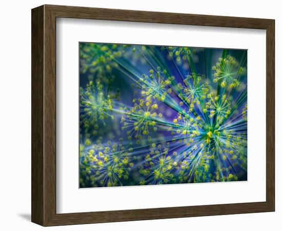 Dill-Ursula Abresch-Framed Photographic Print