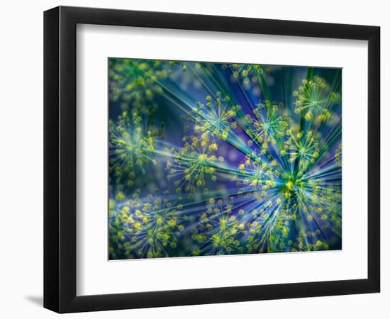 Dill-Ursula Abresch-Framed Photographic Print