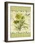 Dill-Kate Ward Thacker-Framed Giclee Print