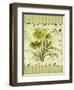 Dill-Kate Ward Thacker-Framed Giclee Print