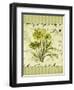 Dill-Kate Ward Thacker-Framed Giclee Print