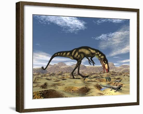 Dilong Dinosaur Hunting Small Lizards in the Desert-Stocktrek Images-Framed Art Print