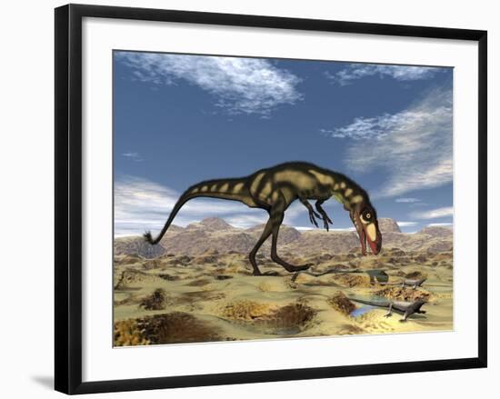 Dilong Dinosaur Hunting Small Lizards in the Desert-Stocktrek Images-Framed Art Print