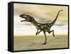 Dilong Dinosaur in the Desert-Stocktrek Images-Framed Stretched Canvas