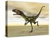 Dilong Dinosaur in the Desert-Stocktrek Images-Stretched Canvas