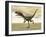 Dilong Dinosaur in the Desert-Stocktrek Images-Framed Art Print