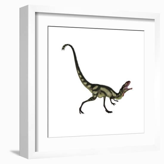 Dilong Dinosaur Roaring-Stocktrek Images-Framed Art Print