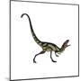 Dilong Dinosaur Roaring-Stocktrek Images-Mounted Art Print